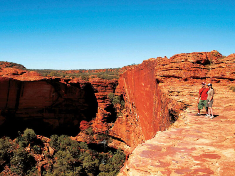 Von Yulara: Tagestour zum Kings Canyon