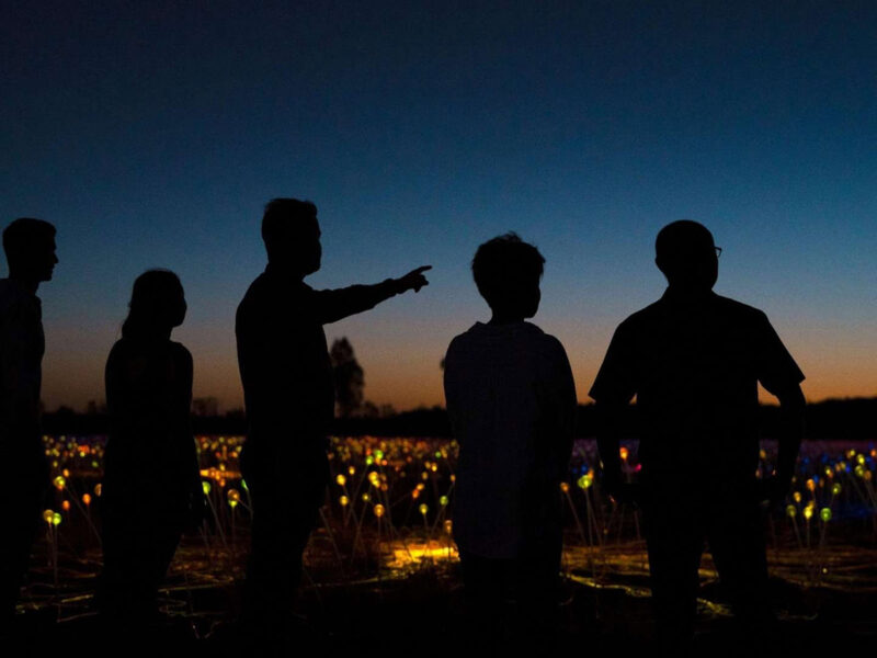 Field of Light Tour zum Sonnenaufgang